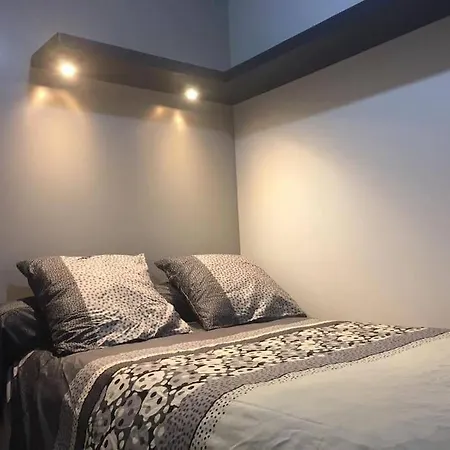 Διαμέρισμα Touristique, Proche De La Cathedrale Αλμπί