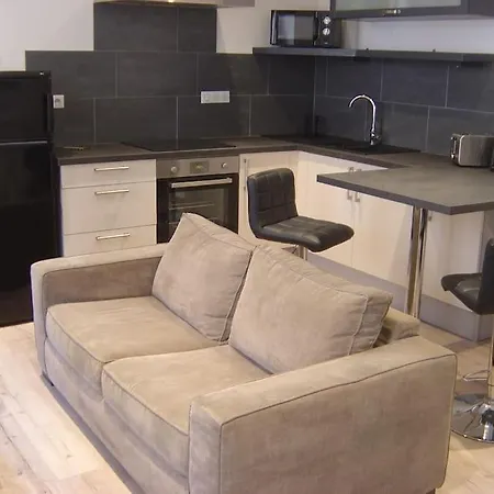 Διαμέρισμα Touristique, Proche De La Cathedrale Αλμπί