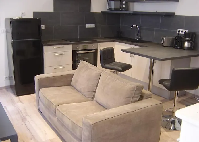 Апартаменты Touristique, Proche De La Cathedrale Альби